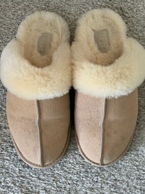 Ugg Scuffette Slipper